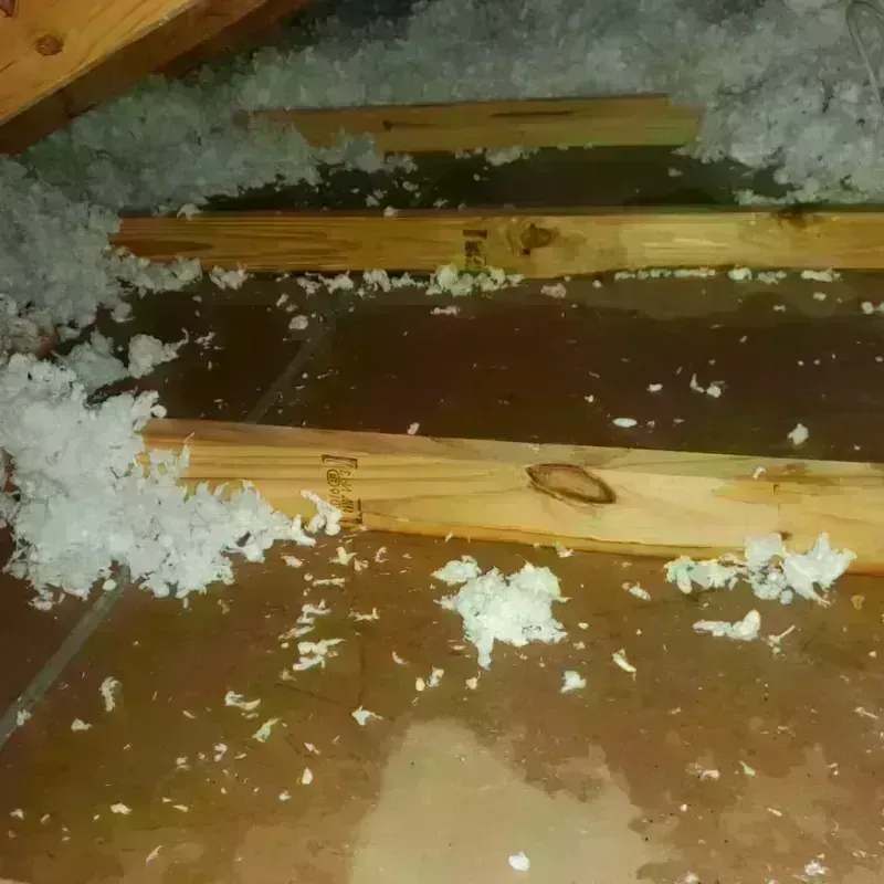 Attic Water Damage in Pocasset, MA